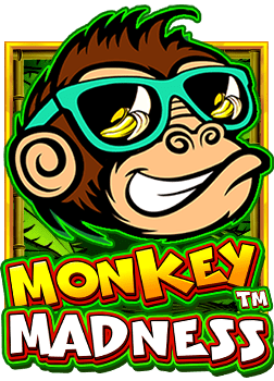 แนะนำ leoslot เกมสนุกจากค่าย NetEnt